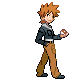 [PokeCommunity.com] The Elite 5's Mega Trading Thread!!!!!!
